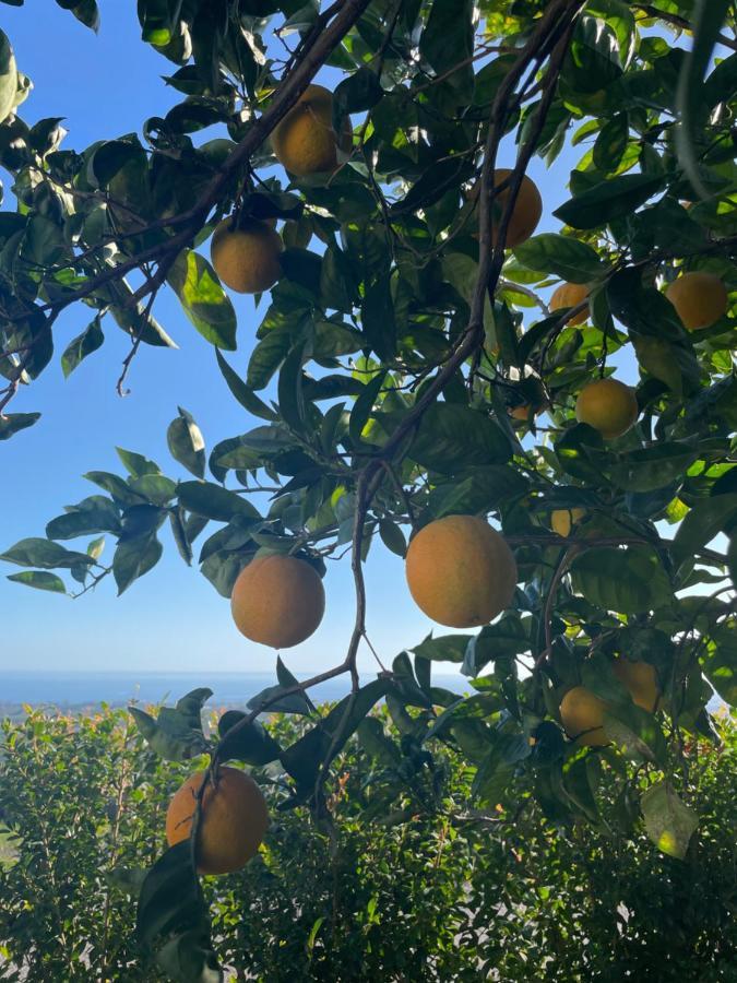 Profumo Di Zagara Villa Fiumefreddo di Sicilia Dış mekan fotoğraf
