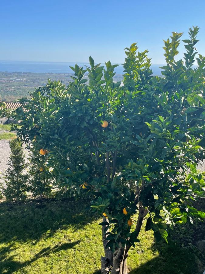 Profumo Di Zagara Villa Fiumefreddo di Sicilia Dış mekan fotoğraf