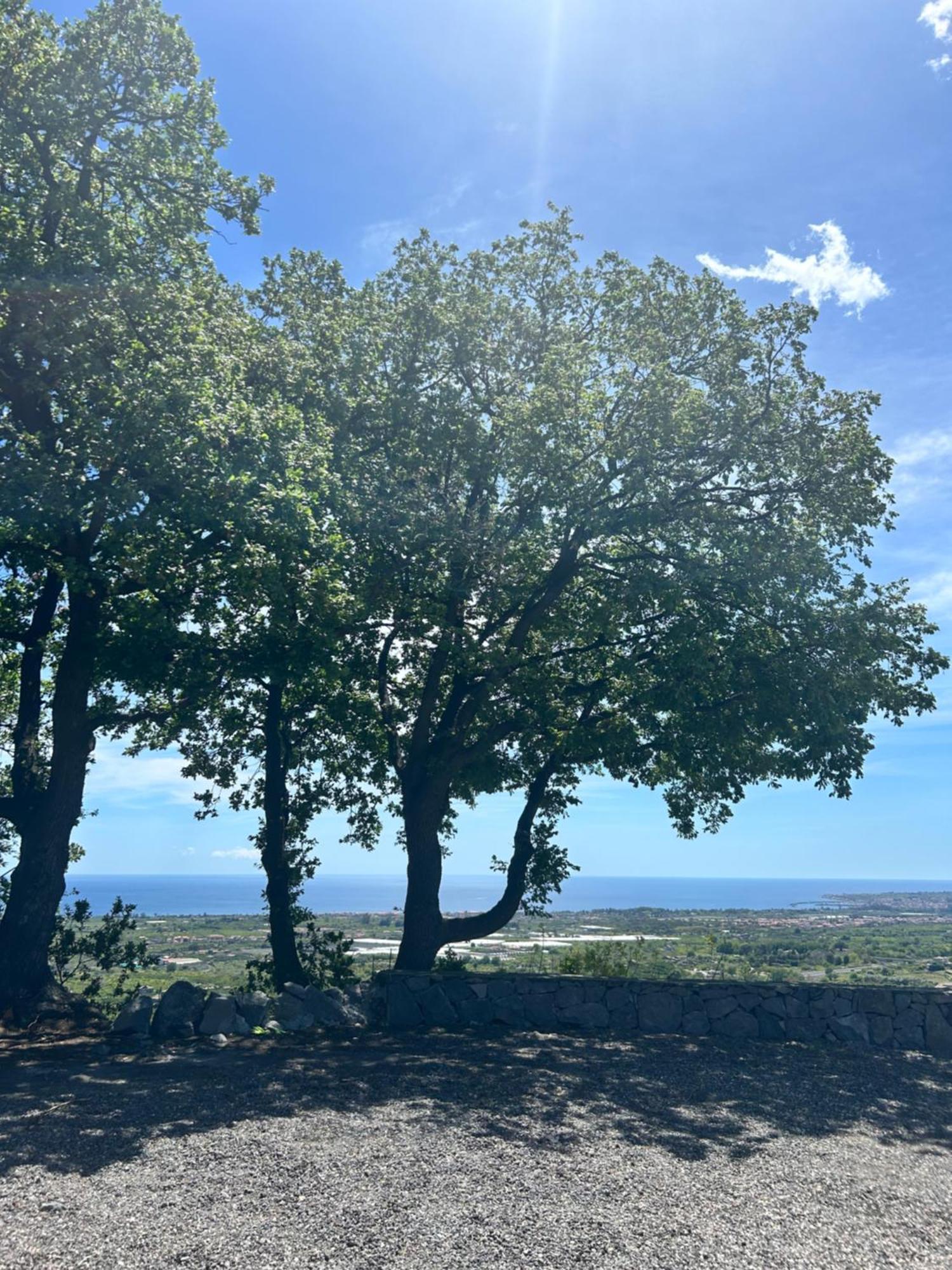 Profumo Di Zagara Villa Fiumefreddo di Sicilia Dış mekan fotoğraf
